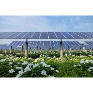 Buy cheap YG DSP Core  Single Axis Solar Tracker Adjustable Tracking Angle from wholesalers