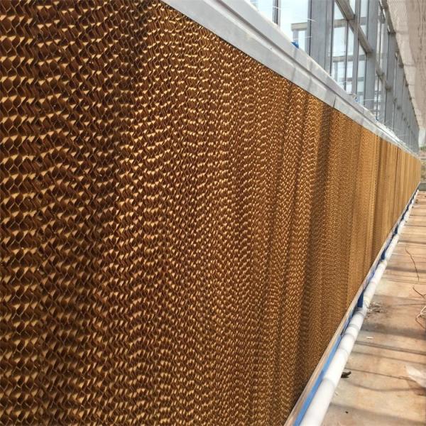 Quality Single / Multi Span Greenhouse Negative Fan Cooling Pad Cooling System for sale