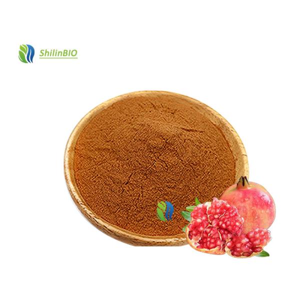 Quality Pure Pomegranate Extract  40%-98% Ellagic acid for sale