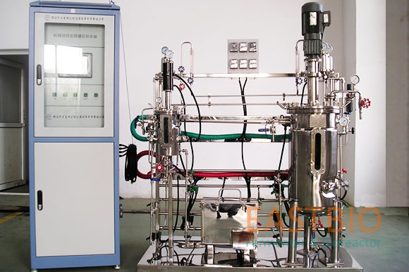 Multistep Stainless Steel Bioreactor Mechenical Stirred 7L-70L AC Motor With