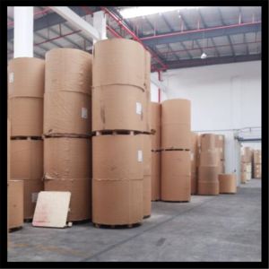 Double Side Coated Kaolinite 300g C1S Art Board for Ream Packaging in Ningbo