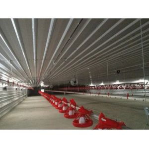Buy cheap Automatic Steel Structure Peb Customized Poultry Chicken Farming Shed from wholesalers