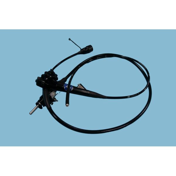 Quality EG-590ZW Gastroscope Advanced Medical Endoscope For Veterinary Diagnostics for sale