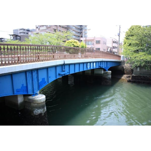 Quality 1m Passenger Foot Steel Girder Bridge Permanent for sale