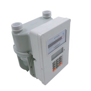 Waterproof IP68 G2.5 Wireless Gas Meter With Remotely Reading Function