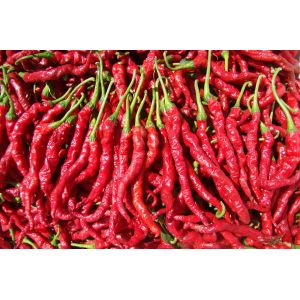 Buy cheap Fresh Chili Pepper Suace Fruit And Vegetable Processing Line Automatic from wholesalers