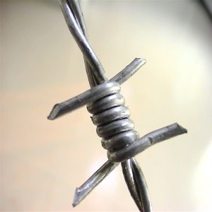 Buy cheap Customized Galvanized Stainless Steel Barbed Wire Roll Customized from wholesalers