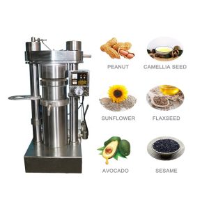 Buy cheap Sesame Hydraulic Oil Press 60 MPA Hydraulic Cold Press from wholesalers