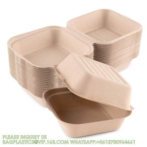 Sugarcane Pulp Clamshell Bagasse Takeout Bento Lunch Box Food Container For