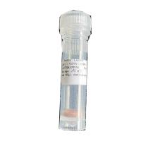 Buy cheap HbA1c Rapid Test Diagnostic Kits Cassette High Accuracy And High Sensitive 25T product