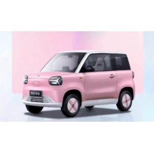 Multi Color Options Mini Ev Cars Zhido Rainbow with CLTP 205km 17.13/17.3kwh