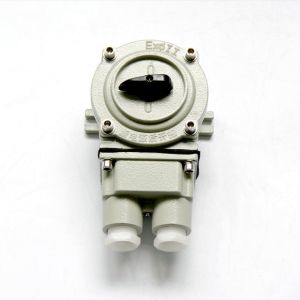 9mm-13mm Cable Spec Explosion Proof Switch with Surface Mounting and IP66
