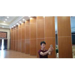 Decorative Commercial Sliding Sound Proof Partition Walls Divide Space For