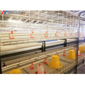 Buy cheap Hot Dip Galvanized Steel Chicken Layer Cages With Automatic Equipment from wholesalers