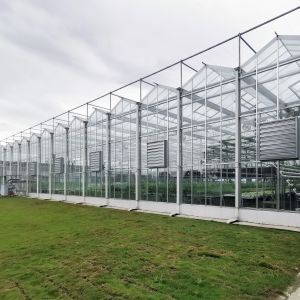 Buy cheap Multi-Span Greenhouse Duble Plate Glass Galvanized Greenhouse Structure Glass product
