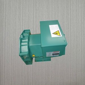 Buy cheap 3 Phase Alternators 110-240V Air-Cooled Brushless IP23 from wholesalers