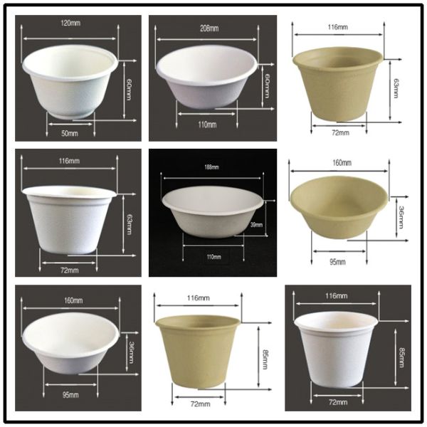 Buy cheap BIO-DEGRADABLE BAGASSE BOWL, HOT AND COLD FOOD, WITH COLVER/LID, SUITABLE FOR HOLDING SALAD, HOT SOUP, RICE, ICE CREAM from wholesalers