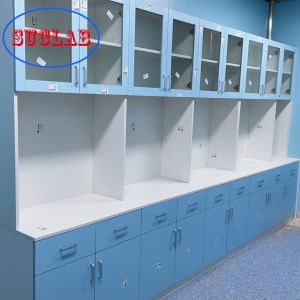 Buy cheap Acid Proof Hospital Lab Furniture Wall Cabinet Waterproof Practical from wholesalers