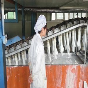 Buy cheap Nitrile Rubber Gloves Production Line Medical Latex Surgical from wholesalers