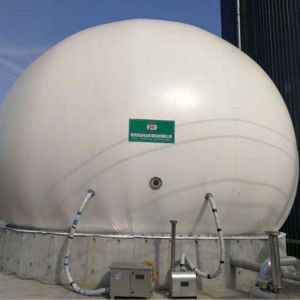 Buy cheap Automatic Tecon Gas Holder Anaerobic Biogas Gas Holder Dual Membrane from wholesalers