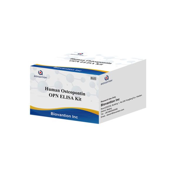 Quality 48 Wells Human Osteopontin Elisa Kit OPN / Secreted Phosphoprotein 1/SPP-1 for sale