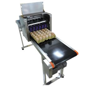 Buy cheap Poultry Egg Date Coding Machine Automatically Updated With LCD Touching Screen product