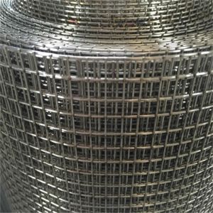 Buy cheap High Quality Galvanized Welded Wire Mesh with Square Holes for Fence Industrial and Agricultural Use from wholesalers