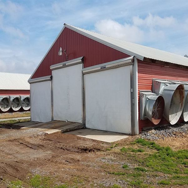 Buy cheap H Beam Steel Structure Poultry House with Bolts Connection from wholesalers