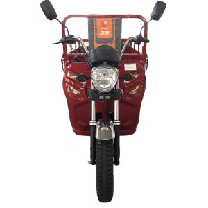 Buy cheap Pedal 1.0m*3.1m 110cc 3 Wheel Trike Moped product