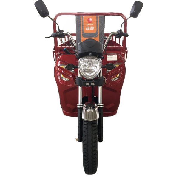 Quality Pedal 1.0m*3.1m 110cc 3 Wheel Trike Moped for sale