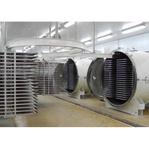 High Performance Vacuum Freeze Machine 100kg/Batch