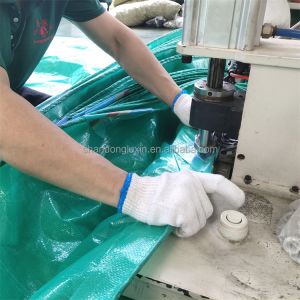 UV Protected Poly Tarp for Agriculture/Industrial Cover Stripe Style Density 6*6