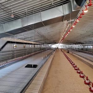 Buy cheap 90 Degree Chain Automatic Pan Feeding System from wholesalers