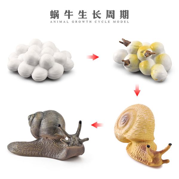 Buy cheap Interactive Human Body Skeleton Model For Learning / Display from wholesalers