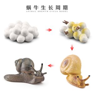 Buy cheap Interactive Human Body Skeleton Model For Learning / Display from wholesalers