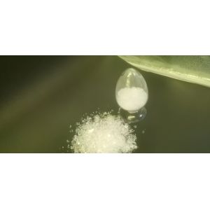 Buy cheap HAA Curing 92/8 Resin Superdurable Fast Cure Componet from wholesalers