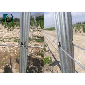 Buy cheap 2.4m 120g/M2 Hot Galvanized Steel Grape Stakes from wholesalers