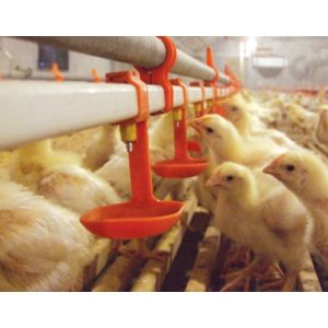 Buy cheap ABS Stainless Quail Nipple Drinker Chicken Nipple Drinker System from wholesalers