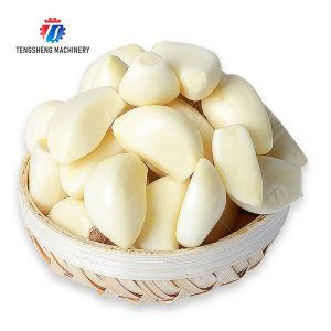 Buy cheap Garlic splitting machine minced garlic processing production Line from wholesalers