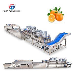 Buy cheap Fruit And Vegetable Wool Roller Bubble Cleaning Machine 1500KG/H from wholesalers