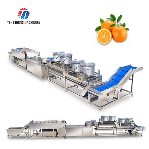 Quality Fruit And Vegetable Wool Roller Bubble Cleaning Machine 1500KG/H for sale