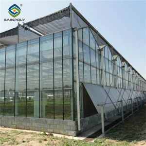 Buy cheap Customizable Dutch Venlo Greenhouse For Vegetables With Intelligent Control product