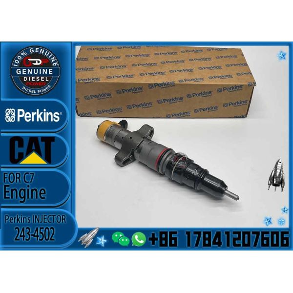 Quality Diesel Engine Fuel Common Rail Injector 243-4502 For CAT Engine for sale