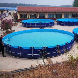 Buy cheap Construction Foldable H2O Cistern Customizable Based On Capacity Designed To Meet Diverse Water Storage Requirements For Industrial from wholesalers