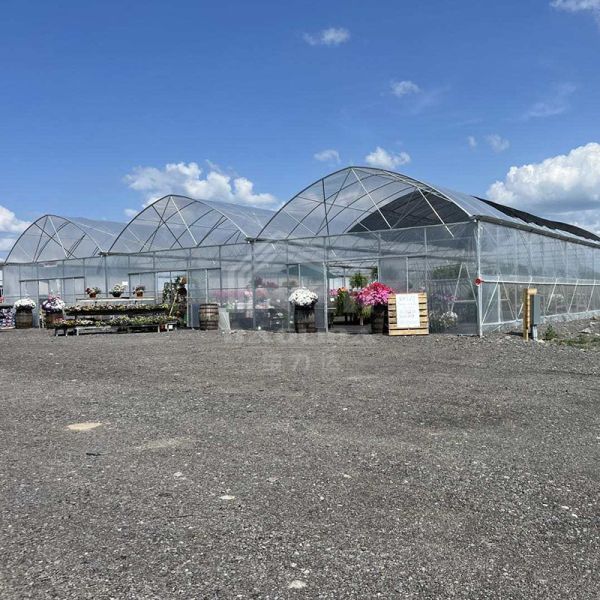 Buy cheap Continuous Structure Multiple Bays Connected Multi Span High Tunnel Greenhouse from wholesalers