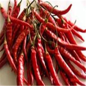 Buy cheap Air Dried Erjingtiao Dried Chilis Stemless and Packed with Chili Peppers from wholesalers