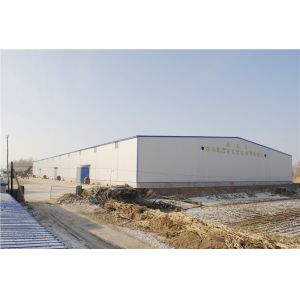 Prefab Steel Structure Warehouse with 50-Year Lifespan Q235B Q355B