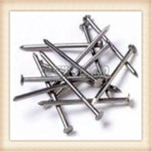 Buy cheap Common Nail Q195 2.5" x BWG12 from wholesalers