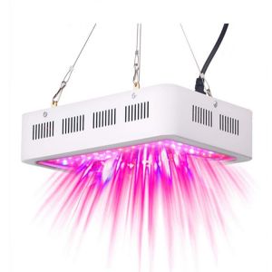 Buy cheap High Reliability Double Chip LED Grow Light With Overheat Protection from wholesalers