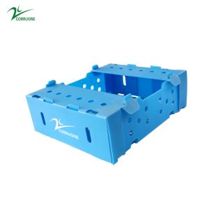 Buy cheap Eco-friendly PP Corrugated Plastic Box for Fruit and Vegetable Storage and Shipping from wholesalers